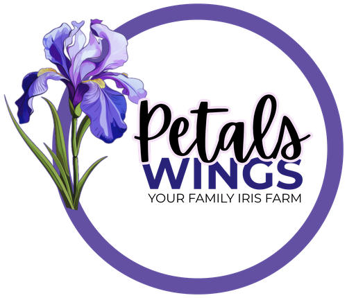 Primary logo color