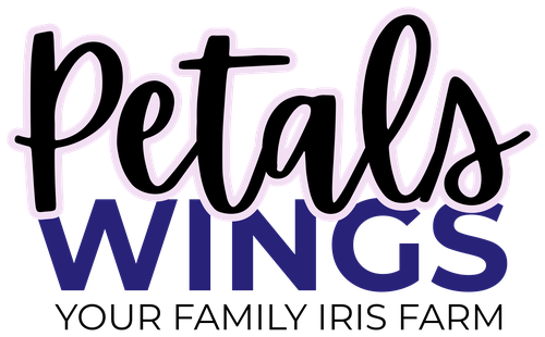 Wordmark color