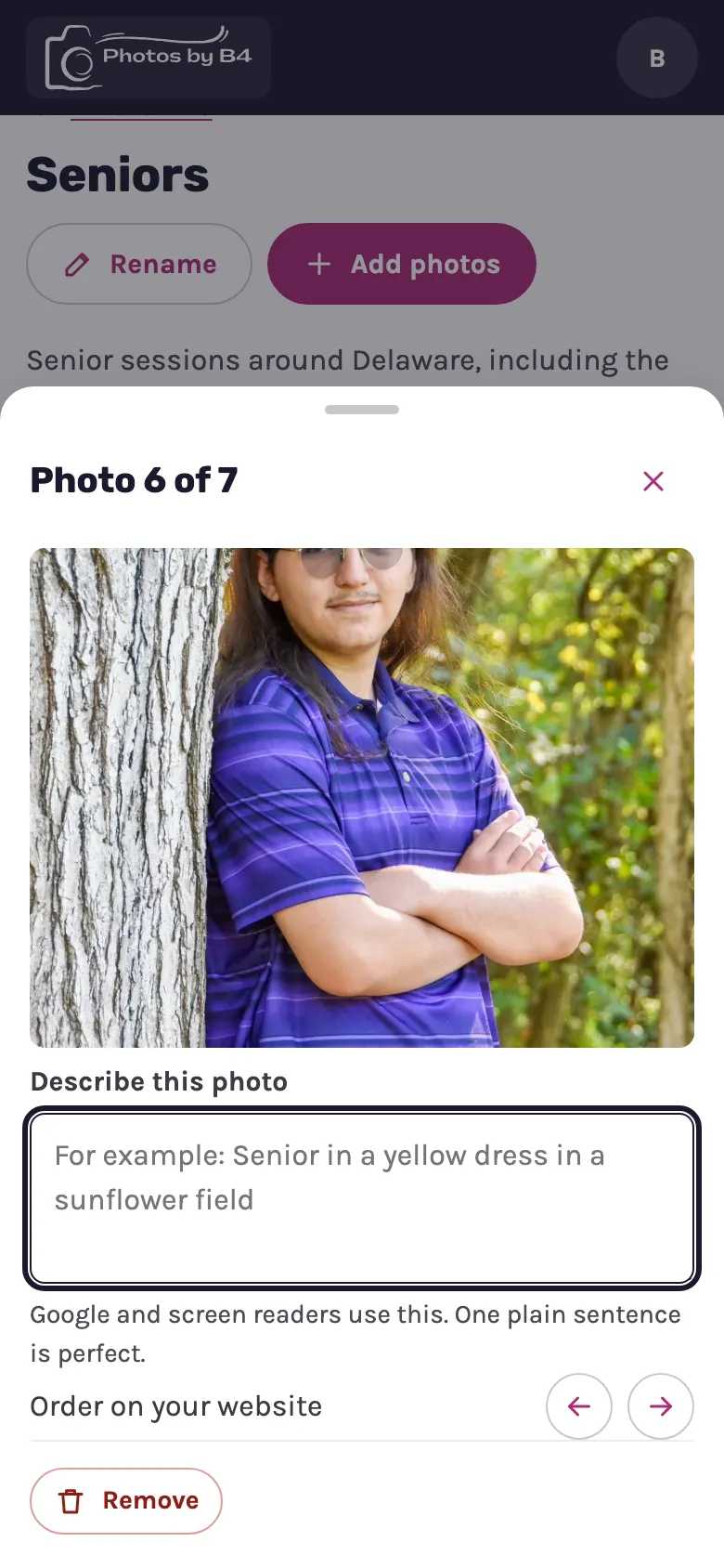 Phone: describing a photo in a bottom sheet