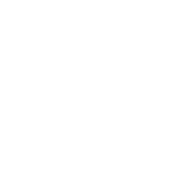 Brandmark white
