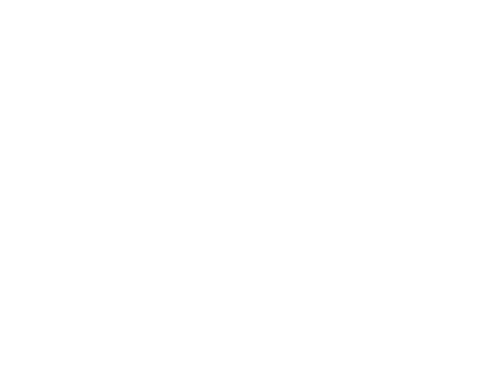 Wordmark white